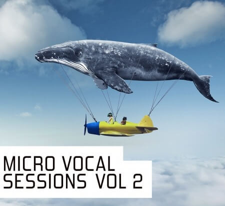 Pulsed Records Micro Vocal Sessions Vol.2 WAV MiDi